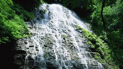 智能系统高端